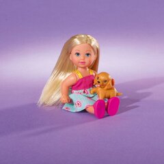 Кукла SIMBA Evi с собачкой цена и информация | Игрушки для девочек | kaup24.ee