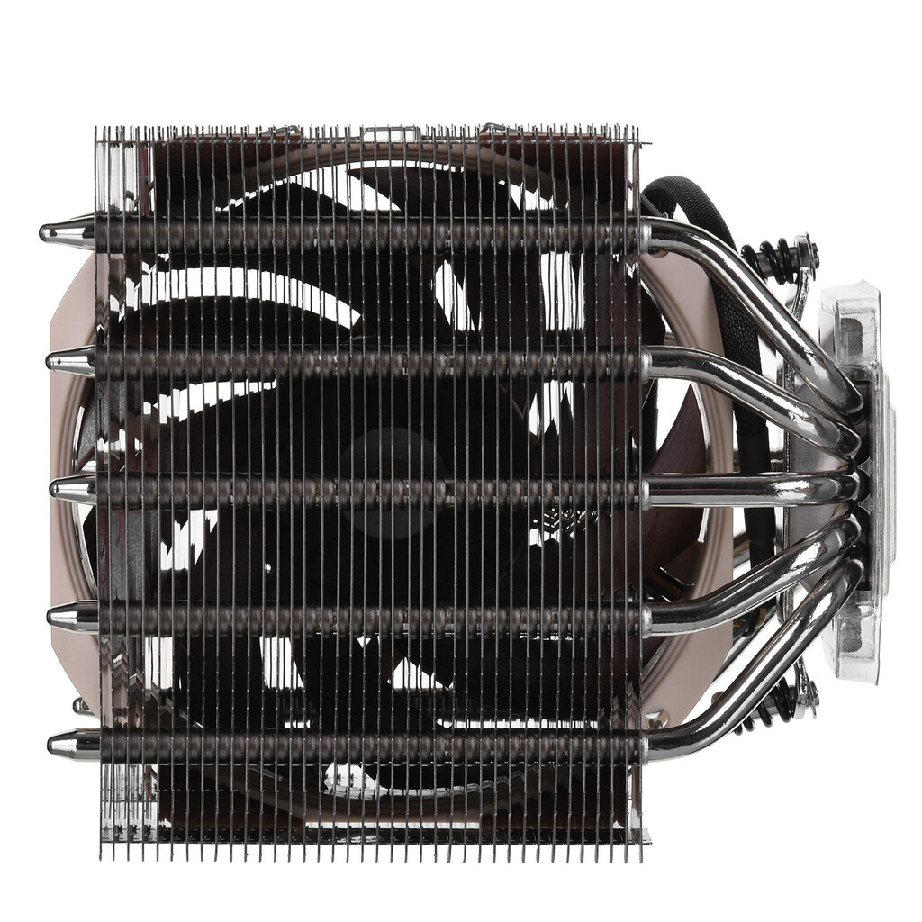 Noctua NH-D12L цена и информация | Arvuti ventilaatorid | kaup24.ee