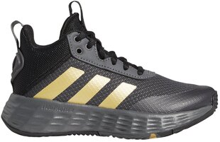 Adidas Jalatsid Ownthegame 2.0 K Grey GZ3381 GZ3381/1.5 hind ja info | Laste spordijalatsid | kaup24.ee