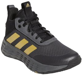 Adidas Jalatsid Ownthegame 2.0 K Grey GZ3381 GZ3381/1.5 цена и информация | Детская спортивная обувь | kaup24.ee