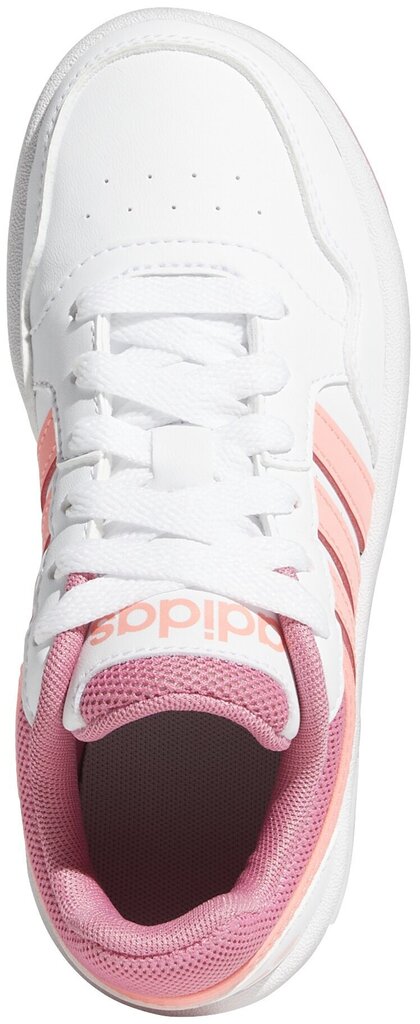 Adidas Jalatsid Hoops 3.0 K White Pink GW0418 GW0418/6 hind ja info | Laste spordijalatsid | kaup24.ee