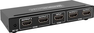 Qoltec Active splitter HDMI 1.3B | 1x4 цена и информация | Адаптеры и USB-hub | kaup24.ee