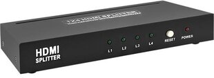 Qoltec Active splitter HDMI 1.3B | 1x4 цена и информация | Адаптеры и USB-hub | kaup24.ee