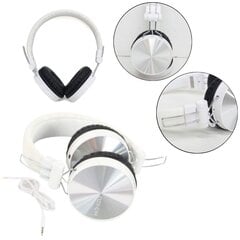 Headphones White цена и информация | Наушники | kaup24.ee