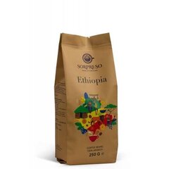 Kohv Sorpreso Ethiopia Sidamo, 250 g цена и информация | Кофе, какао | kaup24.ee