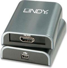 Lindy 5352710 цена и информация | Адаптеры и USB-hub | kaup24.ee