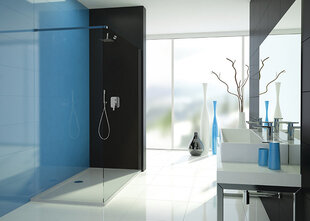 Walk-In dušikabiin Sanplast TX P/TX5b 140s, profiil läikiv hõbedane, kaunistatud klaas cora hind ja info | Dušikabiinide uksed ja seinad | kaup24.ee