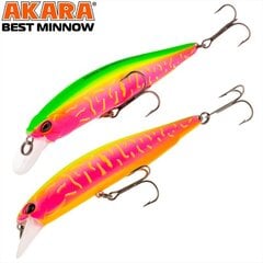 Vobler Akara Best Minnow 100SP A207/161 цена и информация | Воблеры, приманки, блесны | kaup24.ee