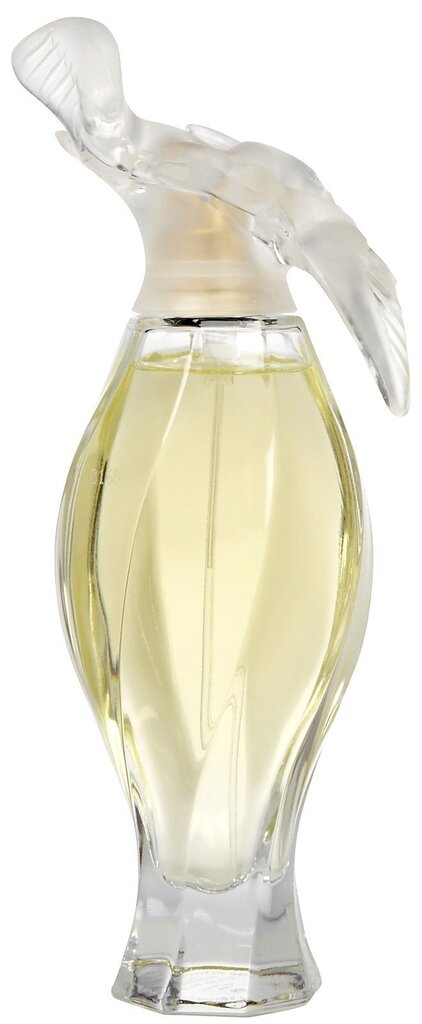 Naiste parfüüm L'air Du Temps Nina Ricci EDT: Maht - 100 ml цена и информация | Naiste parfüümid | kaup24.ee