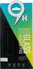 9H Tempered Glass цена и информация | Защитные пленки для телефонов | kaup24.ee