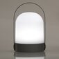 Kaunistus DecoKing Decorative LED Light, 4 tk. цена и информация | Jõulukaunistused | kaup24.ee