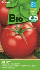 Tomat ACE 55 VF цена и информация | Семена овощей, ягод | kaup24.ee