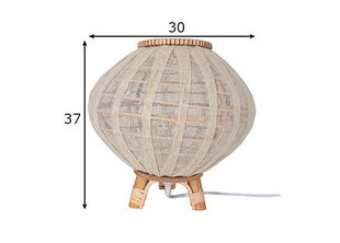 Globen Lighting настольная лампа Borneo цена и информация | Настольная лампа | kaup24.ee
