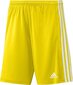 Meeste lühikesed püksid adidas Squadra 21 GN5772, kollane, S hind ja info | Jalgpalli varustus ja riided | kaup24.ee
