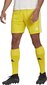 Meeste lühikesed püksid adidas Squadra 21 GN5772, kollane, S hind ja info | Jalgpalli varustus ja riided | kaup24.ee