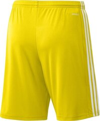 Мужские шорты Adidas Squadra 21 GN5772, желтый, XXL цена и информация | Футбольная форма и другие товары | kaup24.ee