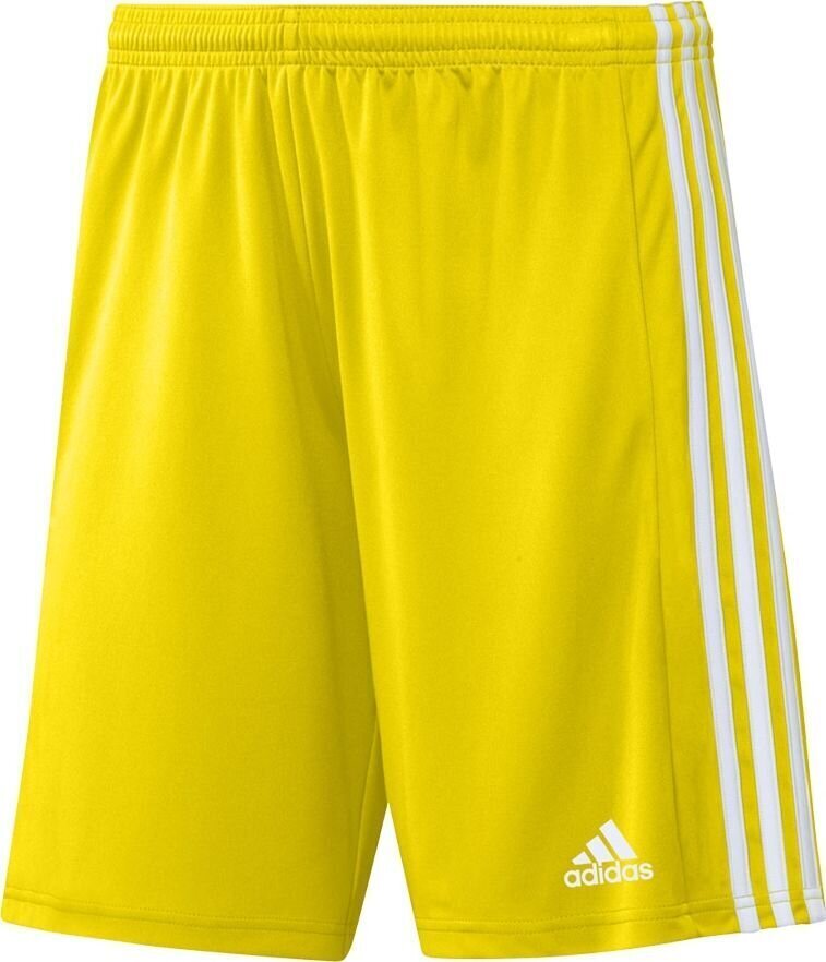 Meeste lühikesed püksid adidas Squadra 21 GN5772, kollane, XXL hind ja info | Jalgpalli varustus ja riided | kaup24.ee