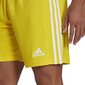 Meeste lühikesed püksid adidas Squadra 21 GN5772, kollane, XXL цена и информация | Jalgpalli varustus ja riided | kaup24.ee