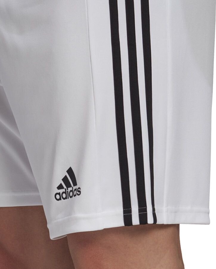 Meeste lühikesed püksid adidas Squadra 21 GN5773, valge hind ja info | Jalgpalli varustus ja riided | kaup24.ee