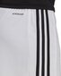 Meeste lühikesed püksid adidas Squadra 21 GN5773, valge цена и информация | Jalgpalli varustus ja riided | kaup24.ee