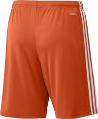 Meeste lühikesed püksid adidas Squadra 21 GN8084, oranž, S hind ja info | Jalgpalli varustus ja riided | kaup24.ee