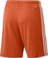 Meeste lühikesed püksid adidas Squadra 21 GN8084, oranž, S цена и информация | Jalgpalli varustus ja riided | kaup24.ee