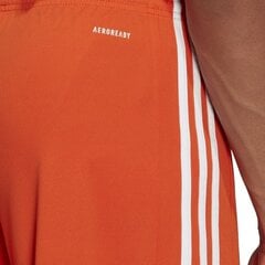 Meeste lühikesed püksid adidas Squadra 21 GN8084, oranž, S hind ja info | Jalgpalli varustus ja riided | kaup24.ee