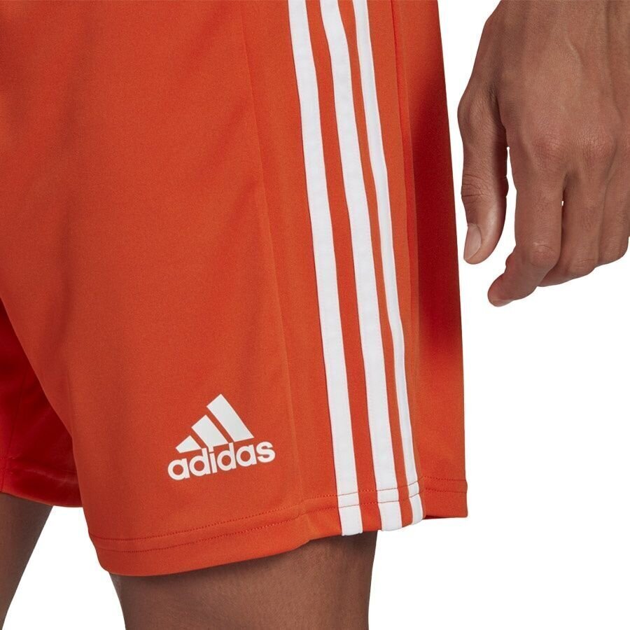 Meeste lühikesed püksid adidas Squadra 21 GN8084, oranž, S hind ja info | Jalgpalli varustus ja riided | kaup24.ee