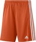 Meeste lühikesed püksid adidas Squadra 21 GN8084, oranž, M цена и информация | Jalgpalli varustus ja riided | kaup24.ee