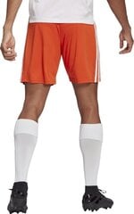 Meeste lühikesed püksid adidas Squadra 21 GN8084, oranž, M цена и информация | Футбольная форма и другие товары | kaup24.ee