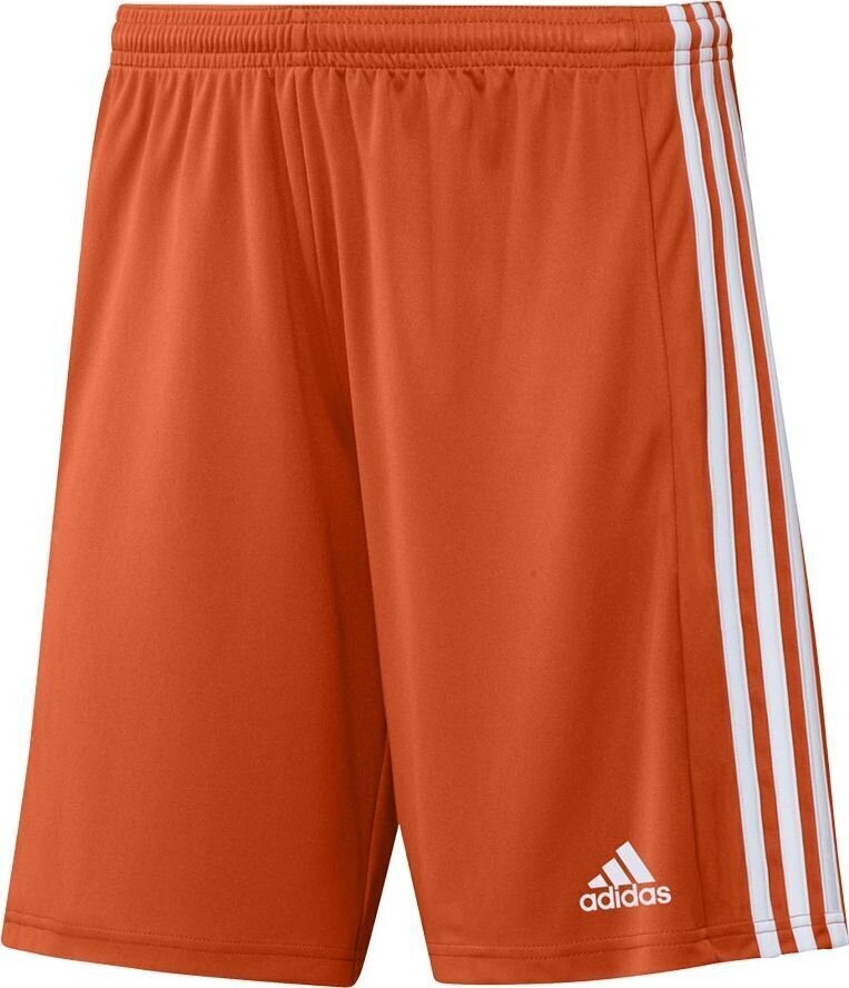 Meeste lühikesed püksid adidas Squadra 21 GN8084, oranž, L цена и информация | Jalgpalli varustus ja riided | kaup24.ee