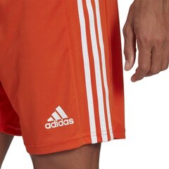 Meeste lühikesed püksid adidas Squadra 21 GN8084, oranž, L цена и информация | Футбольная форма и другие товары | kaup24.ee