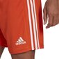 Meeste lühikesed püksid adidas Squadra 21 GN8084, oranž, L цена и информация | Jalgpalli varustus ja riided | kaup24.ee