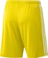 Meeste lühikesed püksid adidas Squadra 21 GN5772, kollane, L hind ja info | Jalgpalli varustus ja riided | kaup24.ee