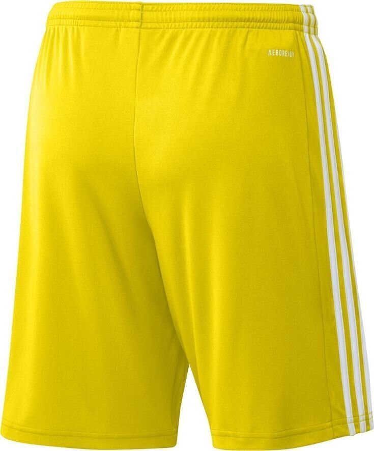 Meeste lühikesed püksid adidas Squadra 21 GN5772, kollane, XL цена и информация | Jalgpalli varustus ja riided | kaup24.ee
