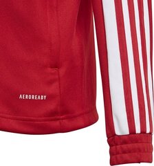 Детский джемпер Adidas Squadra 21 красный GP6458, 140 см цена и информация | Футбольная форма и другие товары | kaup24.ee