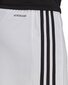 Meeste lühikesed püksid adidas Squadra 21 GN5773, valge hind ja info | Jalgpalli varustus ja riided | kaup24.ee