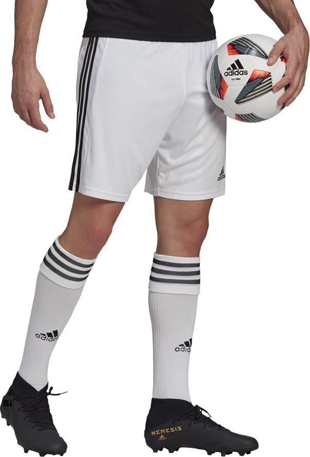 Meeste lühikesed püksid adidas Squadra 21 GN5773, valge hind ja info | Jalgpalli varustus ja riided | kaup24.ee