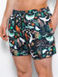 Meeste ujumispüksid lühikesed püksid Ombre W318 hind ja info | Ujumispüksid, shortsid | kaup24.ee