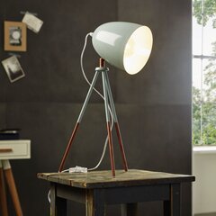 Eglo настольная лампа Dundee 49337 цена и информация | Настольные лампы | kaup24.ee