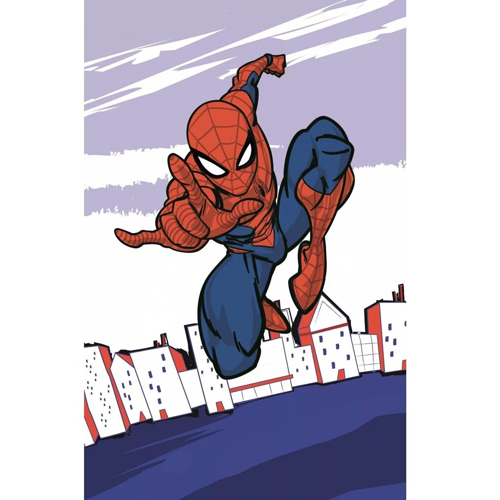 Käterätik Spiderman, 30 x 50 cm hind ja info | Rätikud, saunalinad | kaup24.ee