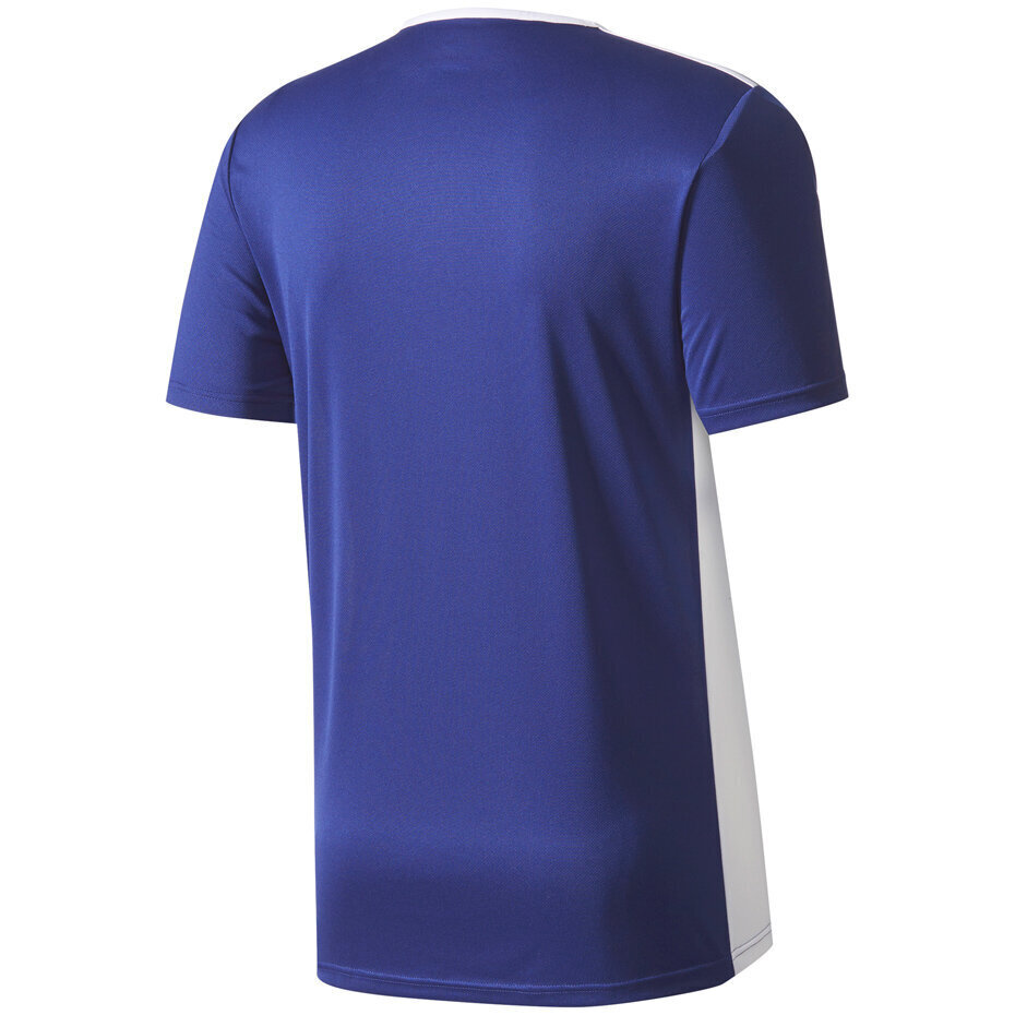 Laste T-särk adidas Entrada 18 Jersey Junior CF1036/CF1047, sinine цена и информация | Jalgpalli varustus ja riided | kaup24.ee