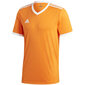 T-särk lastele adidas Tabela 18 Jersey Junior oranž CE8942/CE8922 цена и информация | Jalgpalli varustus ja riided | kaup24.ee