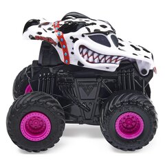 Внедорожник Monster Jam 1:43, 6063898 цена и информация | Игрушки для мальчиков | kaup24.ee