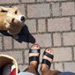 Naiste sandaalid Amanda, must цена и информация | Naiste sandaalid | kaup24.ee