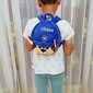 Polsterdatud laste seljakott Käpapatrull Chase, sinine hind ja info | Koolikotid, sussikotid | kaup24.ee