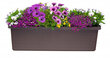 Kolmekohaline taimekast 54 l, automaatne kastmine 117 cm, pruun BERBERIS TRIO hind ja info | Lillekastid | kaup24.ee