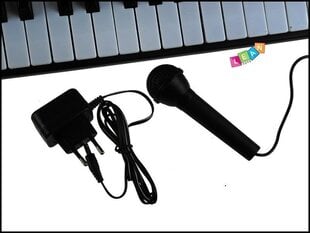 MP3-клавиатура и микрофон цена и информация | Развивающие игрушки | kaup24.ee