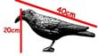 Vares on lindude tõrjevahend цена и информация | Dekoratsioonid | kaup24.ee