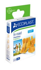 Plaastrid ECOPLAST N20 „Reisil“ komplekt hind ja info | Esmaabi | kaup24.ee